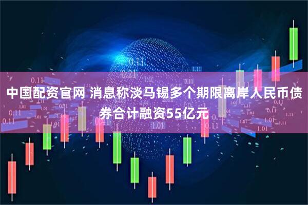 中国配资官网 消息称淡马锡多个期限离岸人民币债券合计融资55亿元