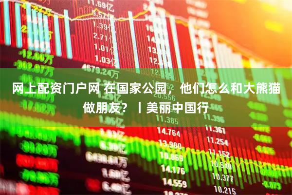 网上配资门户网 在国家公园，他们怎么和大熊猫做朋友？丨美丽中国行
